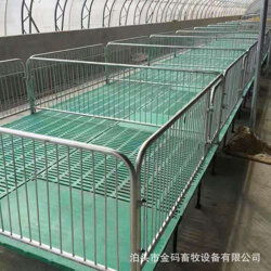 金碼畜牧設備 高效豬用保育床與育肥欄在現代化養豬業的應用