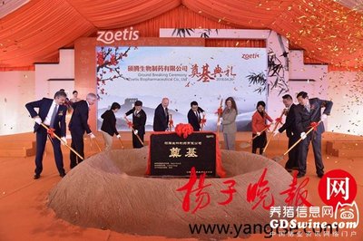 碩騰蘇州新工廠園區(qū)奠基 深化本土布局，賦能中國畜牧業(yè)高質(zhì)量發(fā)展