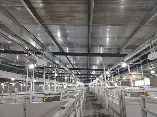 養豬規模化大勢所趨,規模化豬場需要哪些養豬設備 欄位系統篇